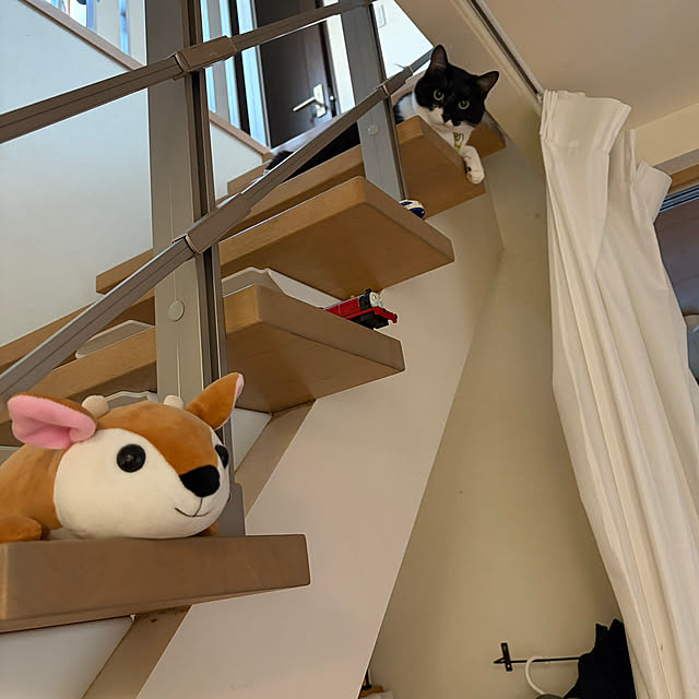nさんの実例写真