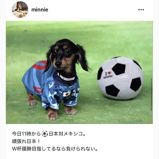 TOMOさんの実例写真
