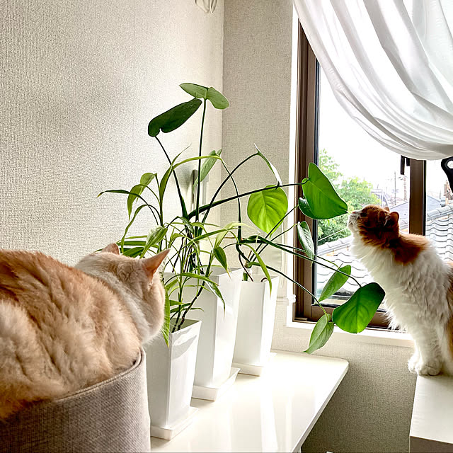 H.Tさんの実例写真