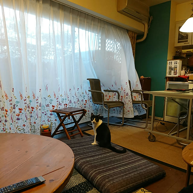 okyosan101さんの実例写真