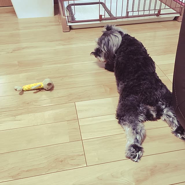 tamaeさんの実例写真