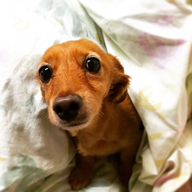 sakuさんの実例写真