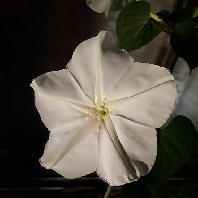 min_nimさんの実例写真