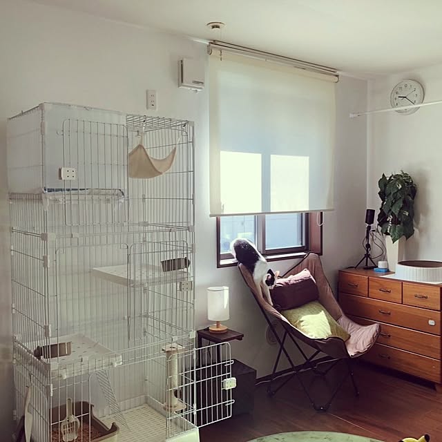 saki++さんの実例写真