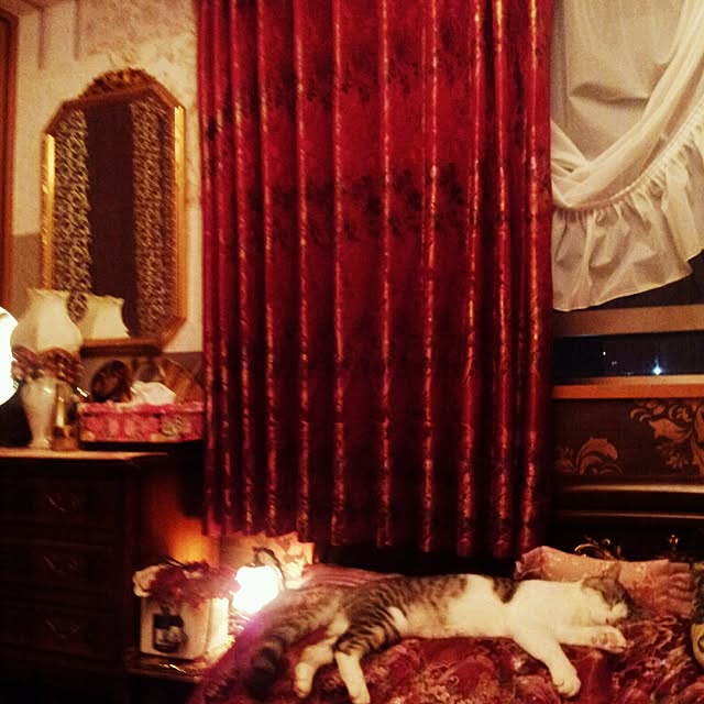 emmyyさんの実例写真