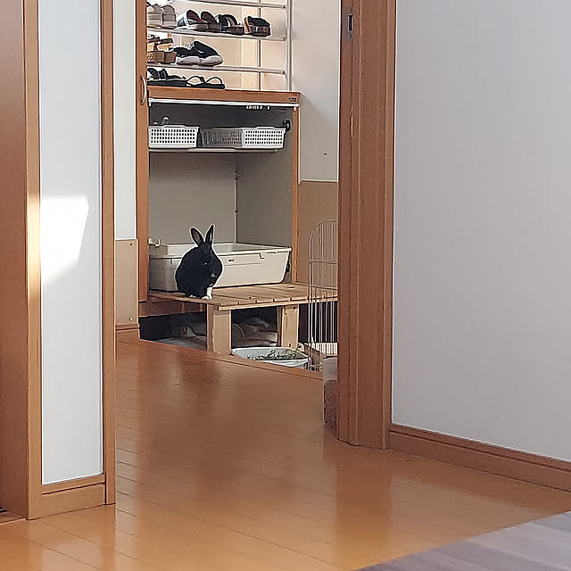soyokoさんの実例写真