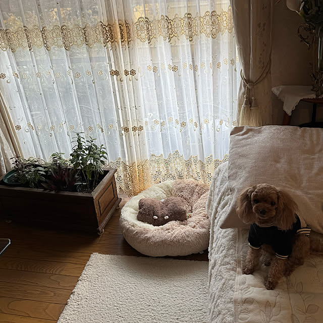 mamizaさんの部屋