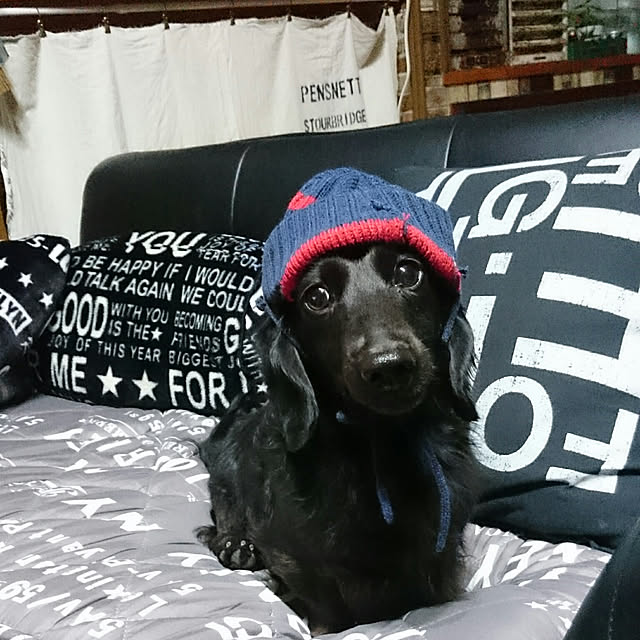 tikuwaさんの実例写真