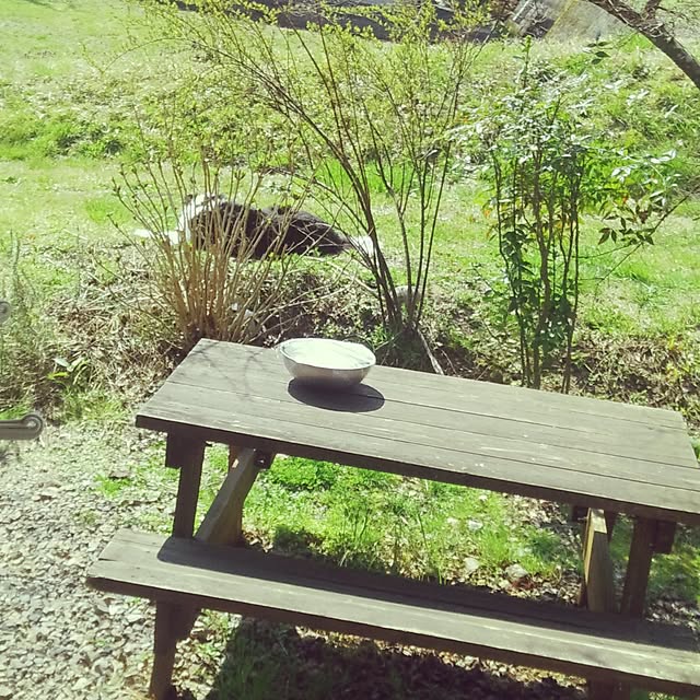 Medetasiさんの実例写真