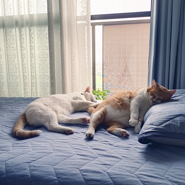 NOAHさんの部屋