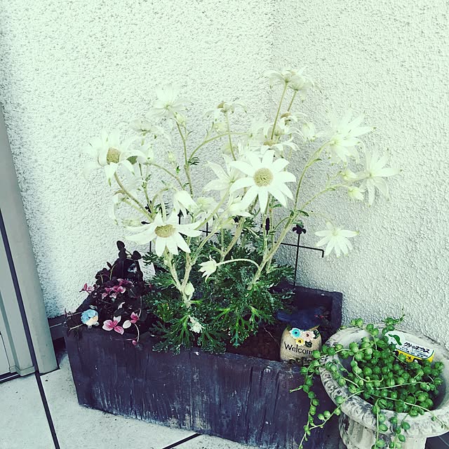 Taekoさんの実例写真