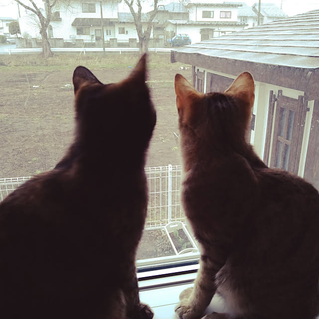 mamekoさんの実例写真