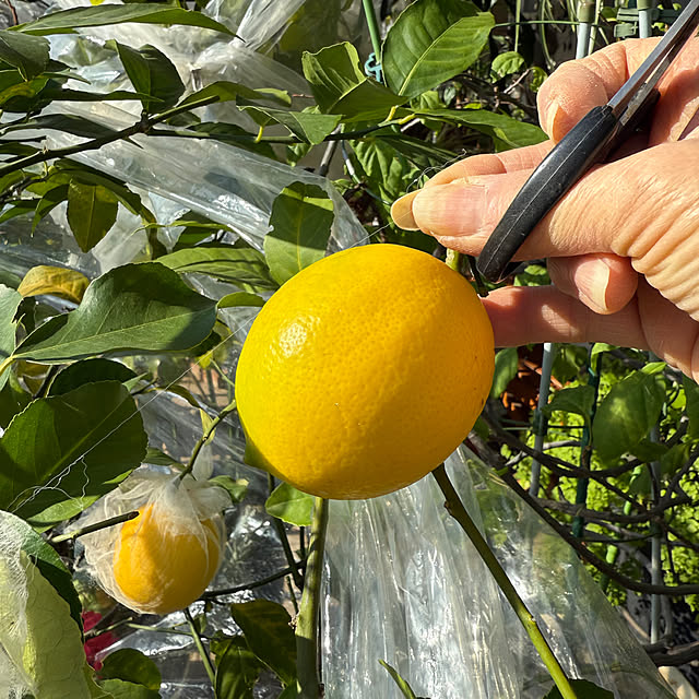 Aqettyさんの部屋