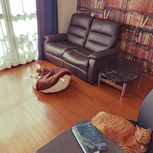 NOAHさんの部屋