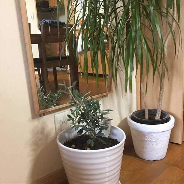 norikoさんの実例写真
