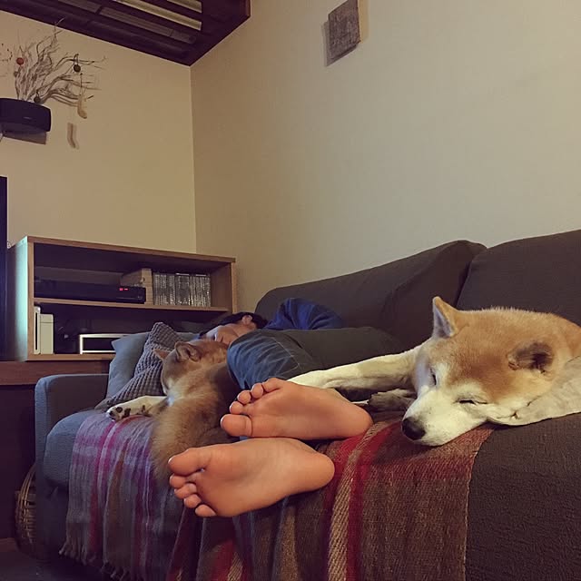 nicoさんの実例写真
