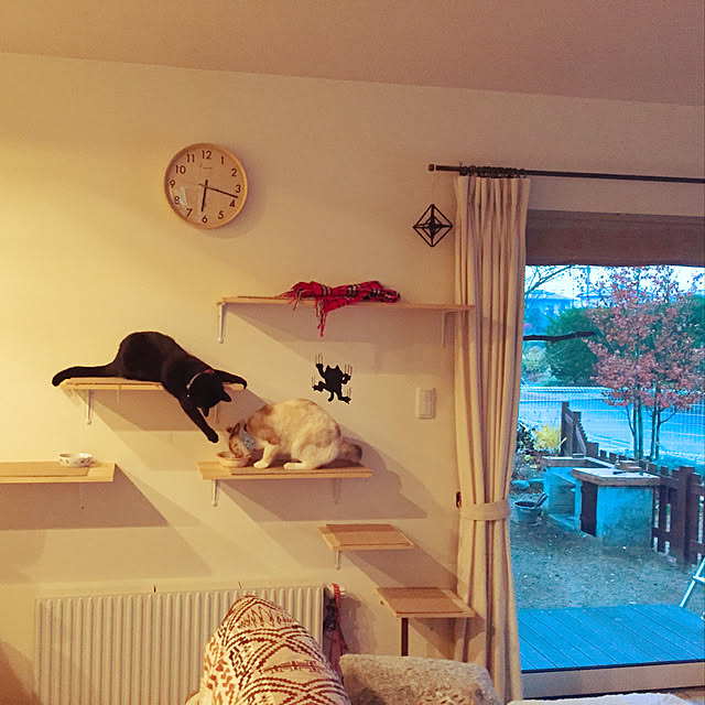nanaさんの実例写真