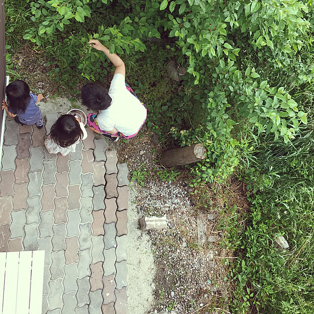 Ysd_Jun_21さんの実例写真