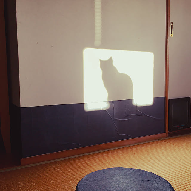 nobikoさんの実例写真