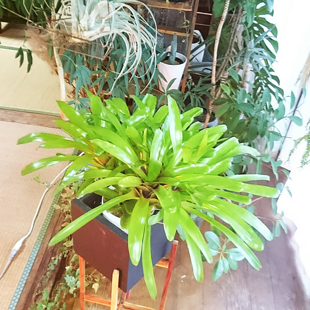 takenさんの実例写真