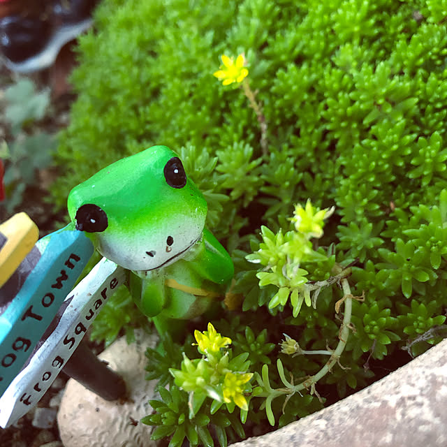 seiさんの実例写真