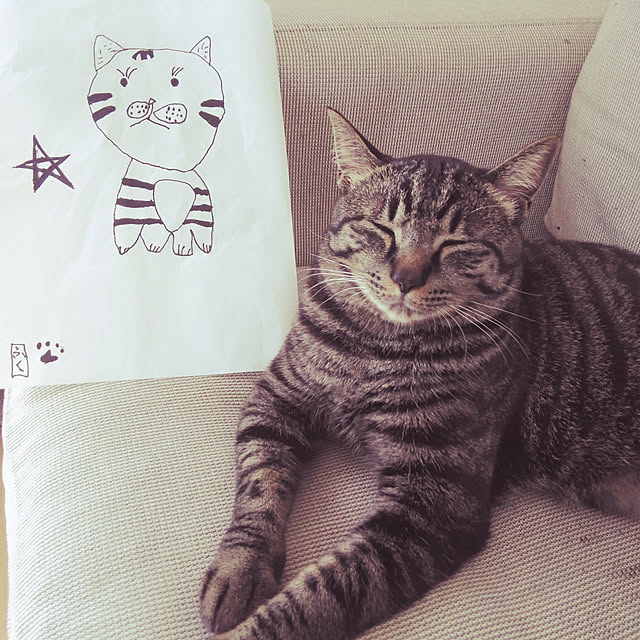 実例写真