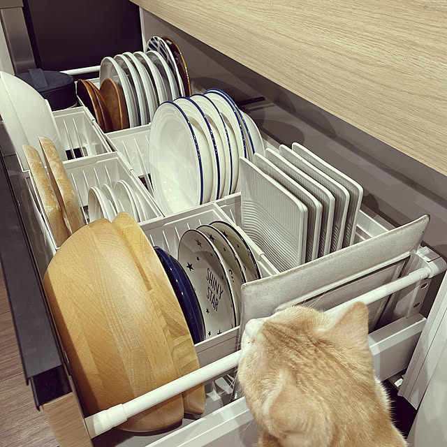 taMAさんの実例写真