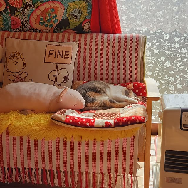 kumutanさんの部屋