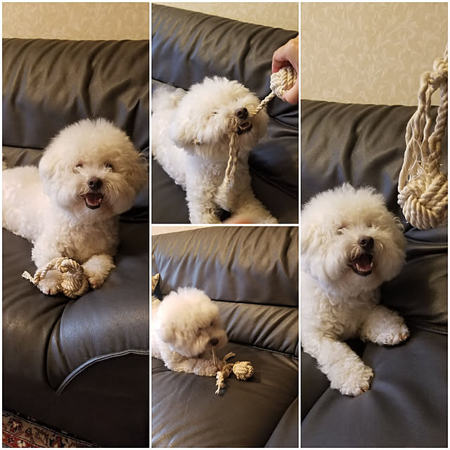 takoさんの実例写真
