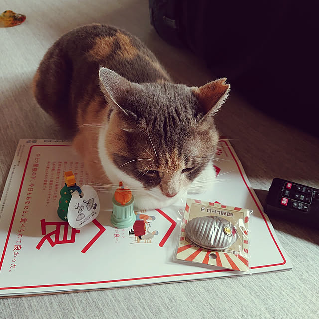 fukuさんの実例写真