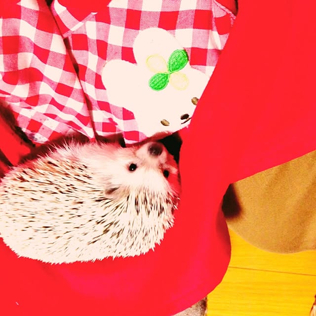 keeeさんの実例写真