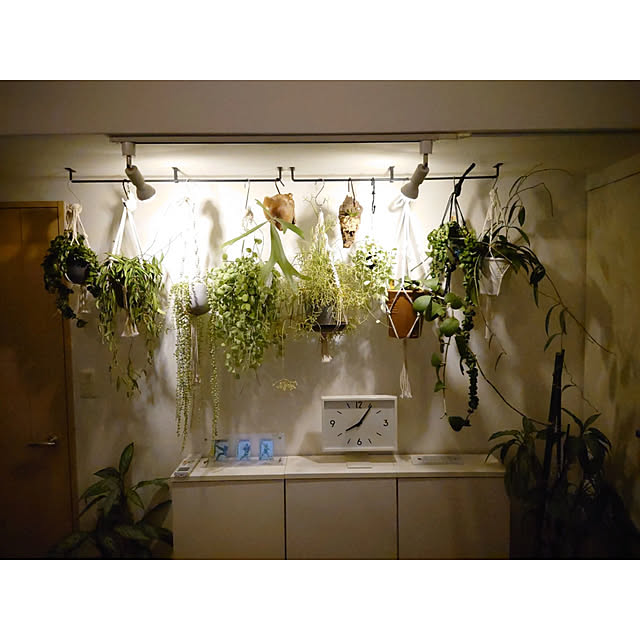 WOODPROさんの部屋