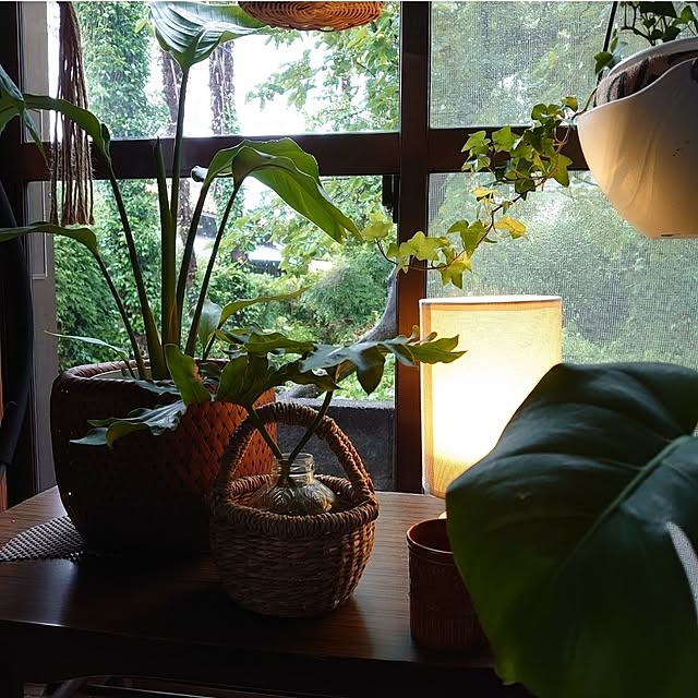 fukuさんの部屋