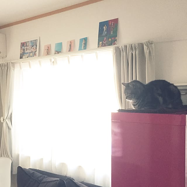 Akaneiroさんの実例写真