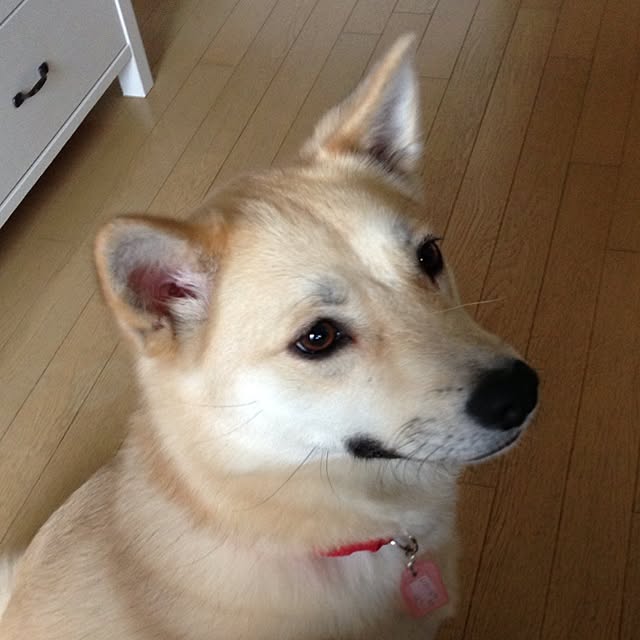 leonaさんの実例写真