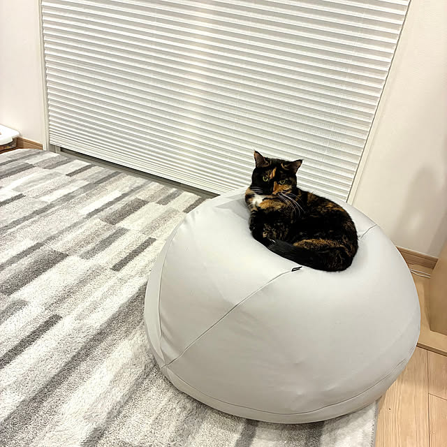 kirinsanさんの部屋