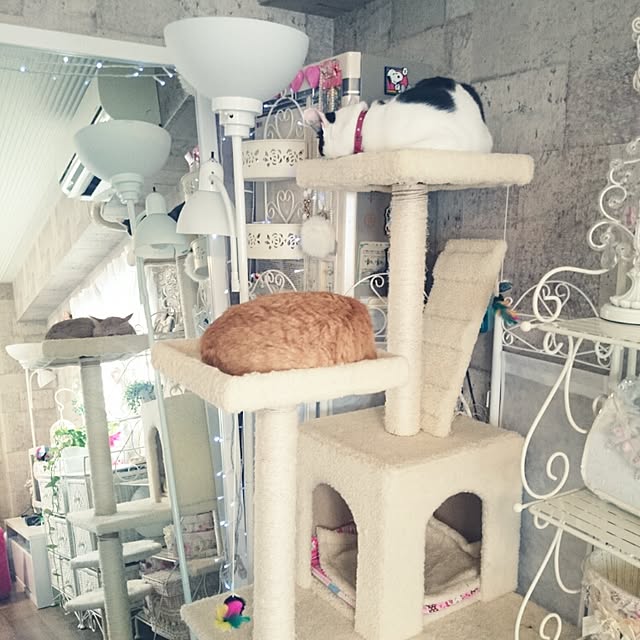fu-ka24さんの実例写真