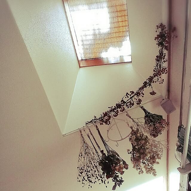 reikamamさんの実例写真