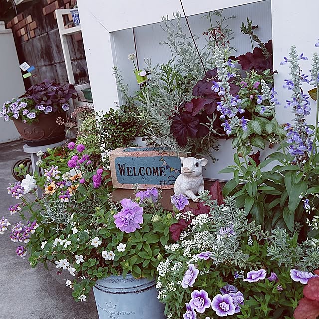 taeko0779さんの実例写真