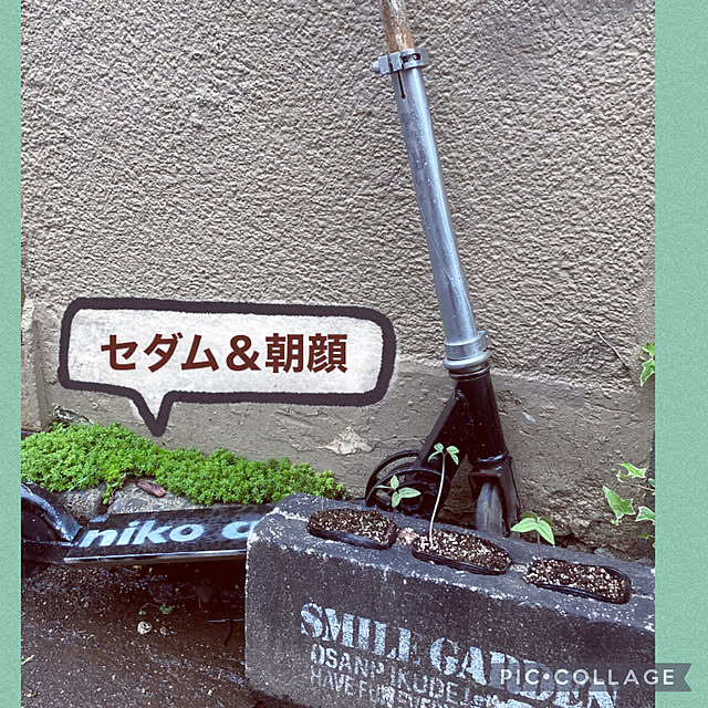 shoさんの実例写真
