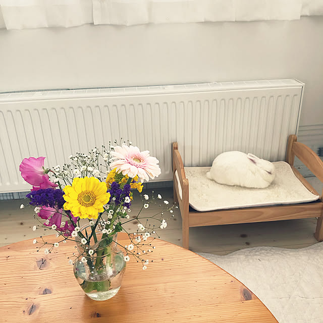 codemariさんの実例写真