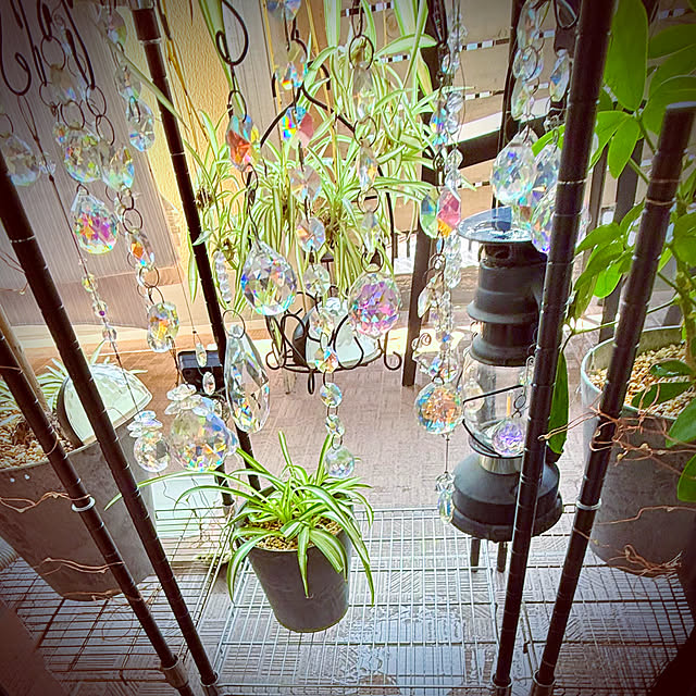 funiさんの部屋
