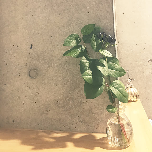 tomiさんの実例写真