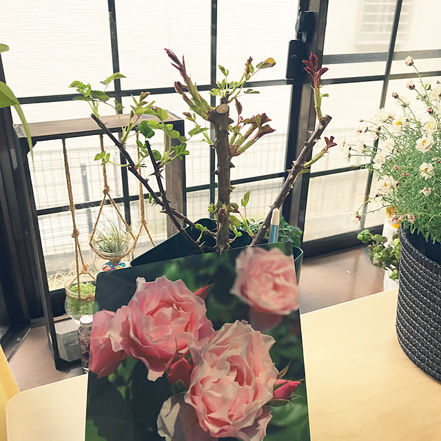 collonさんの実例写真