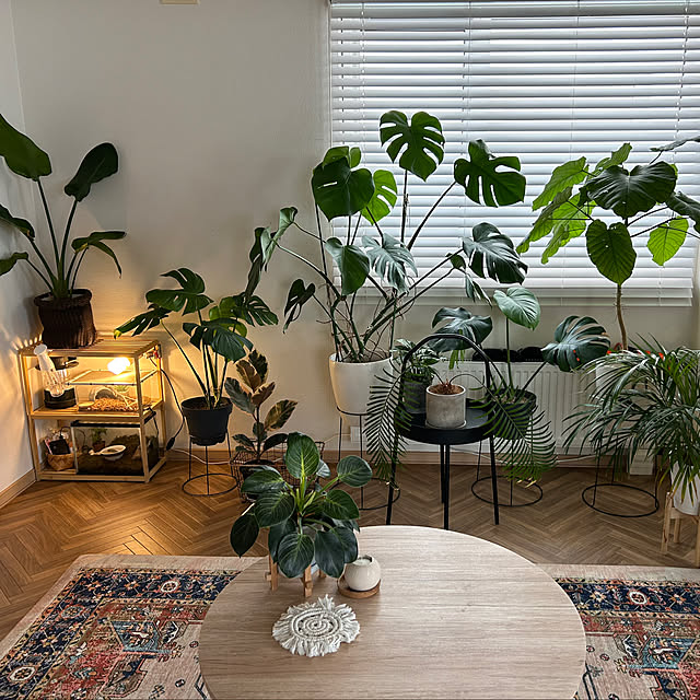 mmm.さんの実例写真