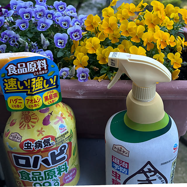 syutmmさんの部屋