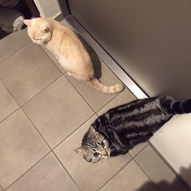 y.k.0123さんの実例写真