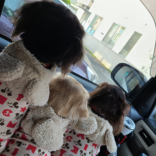 Luckyさんの実例写真