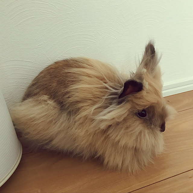 mさんの実例写真
