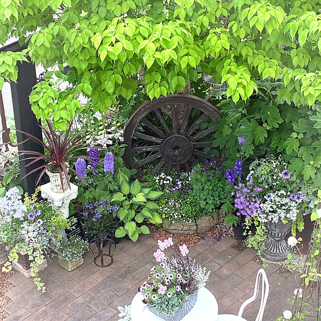 soraさんの実例写真